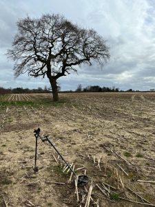 A Comprehensive Guide To The Top 20 Questions Asked About Metal Detecting For Beginners In The UK